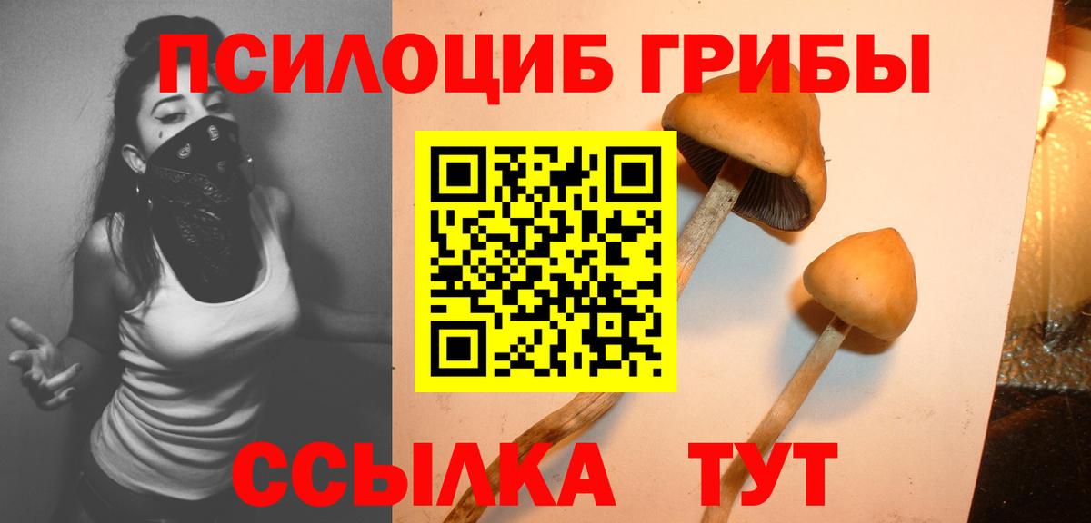 Галлюциногенные грибы Cubensis  Вход с VPN  Менделеевск  Галлюциногенные грибы Psilocybine cubensis 